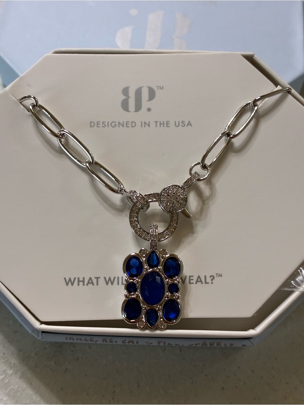Silver-Tone Necklace with Blue Crystal Paw Charm